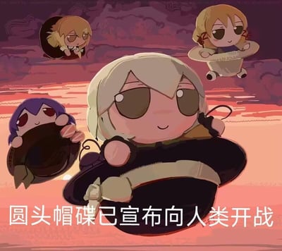 这是一张结合了东方Project与《新世纪福音战士》的二次创作搞笑梗图，图中四个东方角色的Fumo Q版玩偶分别趴在类似圆盘/帽子的载体上，模仿EVA中圆盘状使徒来袭的场景，配文「圆头帽碟已宣布向人类开战」，玩了「使徒（碟）」的谐音梗，将可爱的玩偶形象与严肃的宣战场景结合，制造出反差萌的搞笑效果。