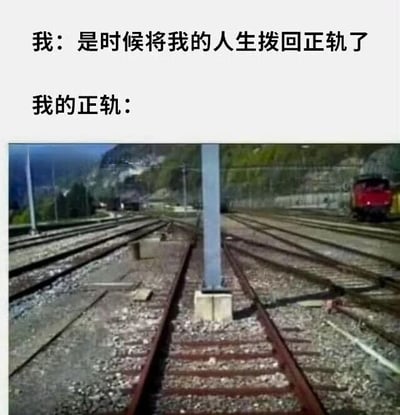 图片上方有两行文字，分别是“我：是时候将我的人生拨回正轨了”和“我的正轨：”，下方是一张实拍的火车轨道照片。照片中轨道交错混乱，有多条铁轨相互交叉，远处有一辆红色火车驶来，形成强烈反差——本想表达要让人生回到正确轨道，结果“正轨”却是杂乱无章的铁轨，用视觉幽默展现了理想与现实的差距，带有自嘲和搞笑的意味。