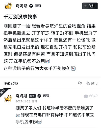 这是一张中文网络社区的发帖截图，发帖用户名为“奇姆斯”，等级为Lv.20。帖子内容是作者分享自己的离谱作死经历：作者突发奇想想要体验微波炉里食物的视角，于是把自己的手机丢进微波炉开启了解冻模式，仅仅转了不到两秒手机就黑屏了；拿出手机后发现充电口散发出奇怪的异味，虽然手机后来自动开机，看起来和之前没有区别，但异味一直保留，作者现在不敢用这部手机，发帖警示所有人千万不要模仿自己这种无脑行为。帖子下方作者自己发布了一条置顶评论，吐槽让大家别笑，自己这部手机半坏不坏的情况最难处理，直到发帖时充电口依旧有异味，不知道要不要送去手机店维修。该帖子共有2613条评论，这条置顶评论获得了6042个赞。