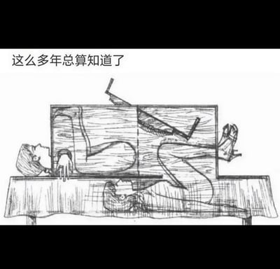 这张梗图用漫画风格展示了魔术表演中“锯箱术”的幕后原理。图片上方有“这么多年总算知道了”的文字，下方是一幅揭秘图，显示锯箱中的两人是如何错位躲藏，营造出一人被锯断的假象。配文表达多年疑惑终于解开的轻松感，整体有种破除童年谜题的趣味。图中没有明显的谐音梗或双关，但带有揭露魔术秘密的调侃意味。
