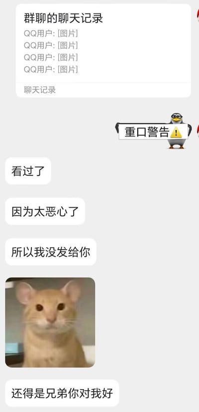 这张图是QQ平台的聊天记录截图，顶部首先展示了一段转发的群聊记录，其中包含4张未显示具体内容的图片；随后发言的用户先发出带有QQ企鹅形象的“重口警告”标识，接着表示自己已经看过这些群聊里的图片，因为内容过于恶心所以没有转发给对方；对方看到消息后，发出一张表情呆滞的黄色仓鼠表情包，回复称“还得是兄弟你对我好”，内容暗含反差笑点：回复者表面在感激对方贴心，实则可能因为没有看到想要的猎奇重口内容而感到失落，形成了搞笑的戏剧效果。