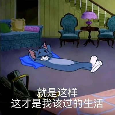 这是一张改编自经典动画《猫和老鼠》的表情包，画面呈现的是动画角色汤姆猫躺在客厅的蓝色垫子上，四肢完全舒展，脸上带着满足的笑容，神态十分放松惬意。图片下方配有“就是这样 这才是我该过的生活”的中文文字，精准地烘托出汤姆猫此刻的满足感，也传递出一种对悠闲、无压力、舒适生活的向往，非常契合当下部分年轻人追求“躺平”、渴望逃离忙碌节奏的心态，常被用于社交场景中表达对理想生活的憧憬。