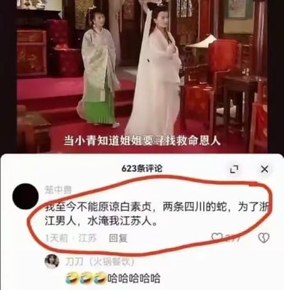 这张图上方是古装剧场景（疑似《白蛇传》），配有文字：“当小青知道姐姐要寻找救命恩人”。下方是一条评论，调侃白素贞（四川的蛇）为浙江男人水漫江苏，让江苏网友哭笑不得。评论巧妙结合了人物、地理与梗，形成强烈幽默感。

双关/谐音梗说明：评论将剧中“水漫金山”剧情与现实江浙地域梗进行了巧妙结合。