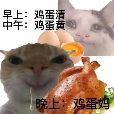 这是一张经过P图改编的图文混排静态搞笑表情包，创作者将网络上广为流传的泪眼汪汪猫咪和流口水猫咪的表情包形象进行拼接，搭配鸡蛋、烤鸡的食物元素与文字内容玩谐音梗。文字标注“早上：鸡蛋清 中午：鸡蛋黄 晚上：鸡蛋妈”，其中“鸡蛋妈”是谐音梗，实际指代生蛋的母鸡（整只鸡），通过从鸡蛋的部分到整只鸡的递进，制造出一种从吃零碎到吃大餐的搞笑反差。流口水的猫咪形象对应想吃烤鸡的渴望，上方泪眼汪汪的猫咪则像是对这种“升级”吃法的向往与调侃，整体画面诙谐有趣，精准贴合了吃货想要享用大餐的情绪，适合在社交平台用来表达对美食的渴望或者玩梗调侃。