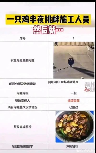 这是一张以工程施工项目安全隐患整改台账为形式的搞笑图片，顶部黄色标题写着“一只鸡半夜挑衅施工人员 然后就…”，引出后续的台账内容。台账里记录了序号1的安全隐患：一只鸡破坏水泥路面，将其列为一般等级问题，整改责任人为全项目部，整改反馈为已整改。整改前的照片显示一只被链子拴着的鸡在水泥路面上，而整改完成的照片则是一锅炖好的鸡肉菜肴，最后还有项目部经理刘晓阳的签字确认。整个内容用严肃正式的工作文档形式处理一只鸡的“违规”行为，通过这种强烈的反差制造出幽默搞笑的效果，调侃了工作中台账流程的正式感和生活化处理方式的结合。