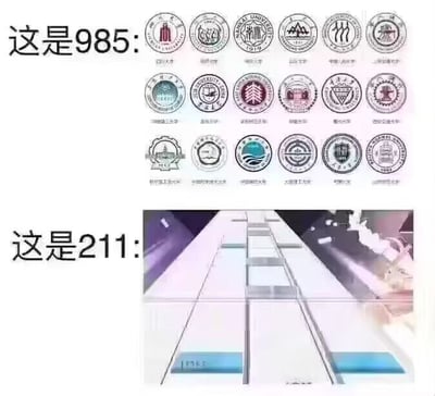 图片分为上下两部分进行对比。上半部分标题为“这是985:”，下方整齐排列了多所985高校的校徽，包括北京大学、清华大学、复旦大学等知名院校，校徽清晰且各具特色；下半部分标题为“这是211:”，下方则是一张模糊的类似长廊或道路的图片，画面中线条延伸至远方，整体较为抽象。通过这种清晰校徽与模糊场景的对比，暗示985大学数量少而辨识度高，211大学数量多或相对不那么突出的调侃意味。