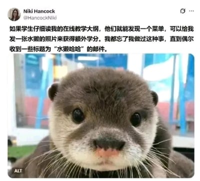这是一张Twitter（X）平台的社交媒体截图，账号为@HancockNiki的用户Niki Hancock分享了自己作为教育工作者的趣味教学小设计：她在自己的在线教学大纲中隐藏了一个彩蛋机制，学生只要仔细阅读大纲并给她发送一张水獭的照片，就能获得课程的额外学分。而Niki Hancock本人已经遗忘了这个设置，直到偶尔收到标题为"水獭哈哈"的邮件才想起这件事。截图下方搭配了一张特写的小水獭照片，水獭睁着圆溜溜的大眼睛直视镜头，面部表情呆萌可爱，与推文中的水獭主题完美呼应，整体内容轻松有趣，展现了教育场景中师生之间充满创意与趣味的互动方式。