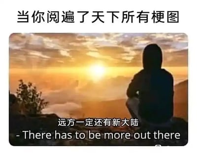 这是一张经过二次创作的图文混排图，画面顶部配有文字“当你阅遍了天下所有梗图”，主体是一张风景照：一个人背对着镜头坐在山顶的岩石上，面前是云海与正在升起的太阳，暖黄色的光线铺满天空与云海，营造出开阔又充满希望的氛围。画面底部配有文字“远方一定还有新大陆”，并附上英文翻译“There has to be more out there”。这张图用山顶眺望远方的场景，类比梗图爱好者在看遍无数网络梗图后，依然期待新的梗图内容的心境，将新的有趣梗图比作“远方的新大陆”，精准戳中了热衷于收集、浏览梗图的网友的共鸣，用励志感的画面来调侃网络趣味文化里的追新心态。