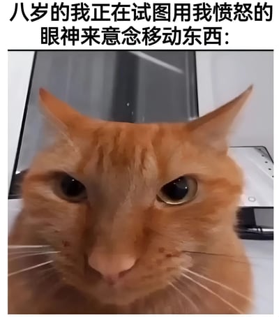 图片上方配有文字'八岁的我正在试图用我愤怒的眼神来意念移动东西：'，下方是一张橘猫的特写照片。橘猫双眼圆睁，眼神专注而锐利，瞳孔紧缩，耳朵微微竖起并向前倾斜，面部毛发因表情显得有些紧绷，整体神态严肃认真，仿佛正全力施展'意念移物'的超能力。通过将童年天真的幻想与猫咪一本正经的表情进行拟人化对比，营造出既可爱又搞笑的效果，让人联想到小时候坚信自己拥有超能力的有趣经历。