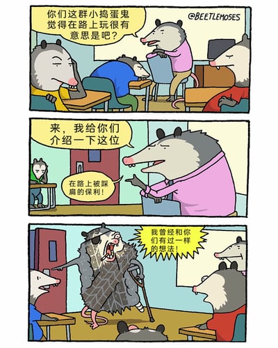 这是一则三格连环卡通漫画，以拟人化的负鼠为角色展开：
第一格：穿着粉色衣服的负鼠老师站在教室里，对着座位上的学生负鼠们严肃批评，质问他们是不是觉得在路上玩耍很有意思，学生们有的趴在桌上犯困，有的神态漫不经心。
第二格：负鼠老师指向教室角落，向学生介绍角落里的保利，称他是“在路上被踩扁的保利”，此时保利还只是在角落露出身影，神态低落。
第三格：保利以浑身布满伤痕、戴着眼罩、拄着拐杖的形象出现在教室中，情绪激动地大喊，说自己曾经和学生们有过一样的想法，用自己的惨痛经历来警示学生不要在路上玩耍，以此完成安全教育。