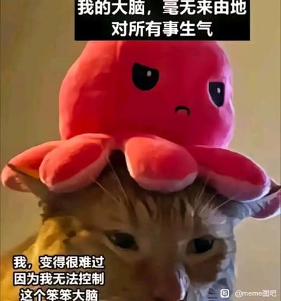 这是一张图文混排的meme梗图，画面主体是一只眼神耷拉、表情低落沮丧的猫咪，它的头顶趴着一个皱眉撇嘴、满脸烦躁的粉色章鱼玩偶。图中上方的文字以章鱼的视角表达“我的大脑，毫无来由地对所有事生气”，下方文字以猫咪的视角倾诉“我，变得很难过因为我无法控制这个笨笨大脑”。这张图用章鱼象征不受控制的烦躁大脑，猫咪象征被这种情绪困扰的自身，精准地刻画了人们被无名的烦躁情绪支配，却又因无力掌控这种情绪而陷入无奈和低落的状态，能够引发有类似情绪体验的受众的强烈共鸣。