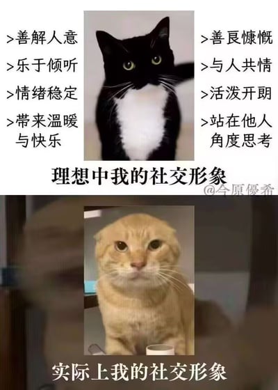 这张图用两只猫咪的照片进行对比来展示“理想中的我”和“实际上我的社交形象”之间的巨大反差。上方的黑白猫代表理想中的完美社交形象（善解人意、情绪稳定等），下方的橘猫则表情呆滞，突出现实中的社交形象常常与预期有差距，带有自嘲和喜剧色彩。没有明显谐音梗或双关，更偏向现实与理想对比类表情包。

两只猫的外观和表情形成强烈反差，上面优雅庄重，下面略显呆滞，增加幽默与共鸣。