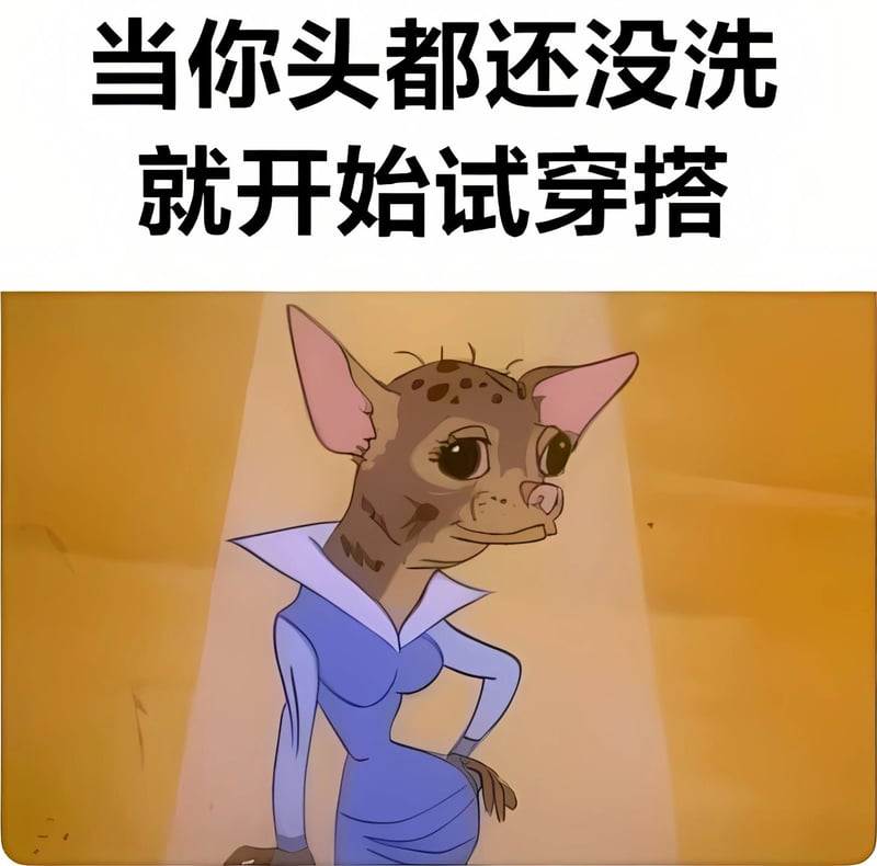 史迪奇