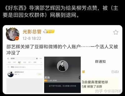 这是一则记录网络暴力事件的整合内容图：《好东西》导演邵艺辉因给吴柳芳点赞，被田园女权群体网暴，最终关闭微博、豆瓣个人账号并解散相关社群。图中上方点明事件起因，中间是微博认证用户“光影总管”发布的感慨，下方是邵艺辉账号无法查看、社群解散的平台截图，直观展现了网络“冲人”行为对个人的伤害，无相关双关、谐音梗或暗示内容。