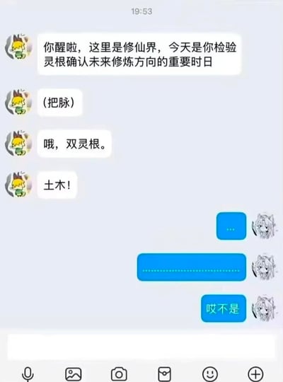 这是一张聊天记录截图，模拟修仙小说中检验灵根的经典场景。对话中，角色先是郑重告知用户“这里是修仙界，今日检验灵根”，随后通过“把脉”得出“双灵根”的结论，最终揭晓是“土木”——利用“土木”（土木工程专业）与修仙设定中“灵根”名称的谐音制造幽默反差，调侃土木工程专业，充满大学生群体的自嘲与娱乐精神。