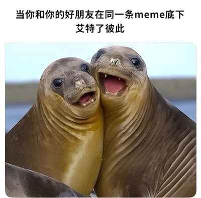 图片上方有文字'当你和你的好朋友在同一条meme底下艾特了彼此'，下方是两只海豹亲密地靠在一起，张着嘴，表情看起来非常开心兴奋，仿佛在模拟好朋友之间发现彼此都在同一条meme下互动时的喜悦场景。