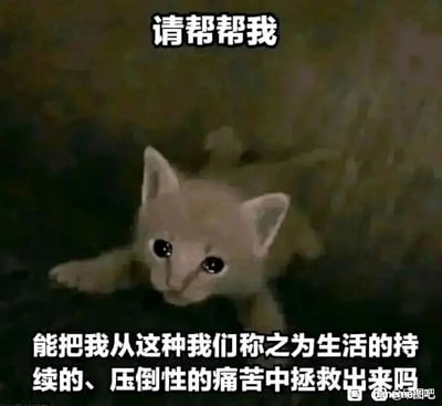 这是一张用于情绪宣泄的静态表情包，画面主体是一只AI生成的卡通小猫，它身处昏暗的环境中，眼眶含泪，趴在地面上，前肢向前伸展，姿态弱小无助。图片上方配有文字“请帮帮我”，下方配有文字“能把我从这种我们称之为生活的持续的、压倒性的痛苦中拯救出来吗”，通过拟人化的方式，借小猫的口吻抒发了当代人被生活的压力与痛苦裹挟，渴望摆脱困境的无力情绪，极易引发人们在面对生活压力时的共鸣。图片右下角带有“贴吧@ne病图吧”的水印，表明其传播平台。