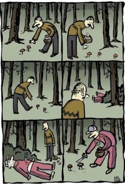 这是一幅六格连环漫画，场景设定在森林中。第一格：穿棕色毛衣的长鼻子男人提着篮子弯腰采蘑菇；第二格：从另一角度展示他继续采摘蘑菇；第三格：他提着篮子低头走开，地上留有少量蘑菇；第四格：男人转头惊讶地看向右侧，发现穿粉色衣服的人倒在地上；第五格：特写倒地者背部插着一把刀，周围散落蘑菇；第六格：另一个穿粉色衣服、戴帽子的人正持刀在原地采蘑菇。整个故事充满悬疑诡异氛围，暗示采蘑菇背后隐藏着危险。