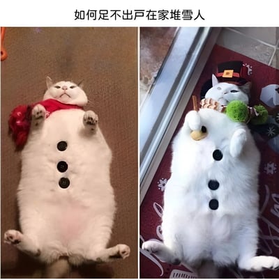 图片为左右对比图，左侧是一只白猫仰卧在地，腹部被画上三颗黑色纽扣，脖子围着红色围巾，形似雪人的基础形态；右侧是同一只猫，增加了黑色礼帽、褶皱领饰，一只爪子拿着小扫帚，另一只爪子抱着绿色绒球，装扮成完整的雪人模样。标题“如何足不出户在家堆雪人”点出创意，利用猫咪圆润的体型和白色毛发模拟雪人，通过添加装饰营造趣味效果，整体风格幽默可爱。