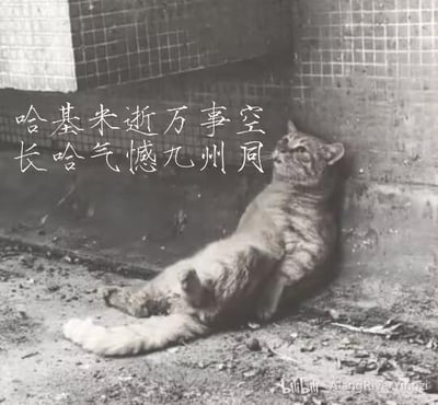 这是一张黑白单图，图中一只猫咪瘫坐在墙角，仰头张嘴，神态看起来像是在叹气。图中搭配了改编自陆游经典诗作《示儿》的谐音诗句：“哈基米逝万事空，长哈气憾九州同”，将原诗的“死去元知万事空，但悲不见九州同”进行谐音替换，用网络对可爱小猫的称呼“哈基米”和猫咪叹气的神态结合诗句，制造出搞笑戏谑的效果。
谐音梗说明：诗句改编自陆游《示儿》，以“哈基米”谐音“死去元知”，“长哈气”谐音“但悲不见”，完美贴合图中猫咪叹气的神态，玩了经典诗词的谐音改编梗。