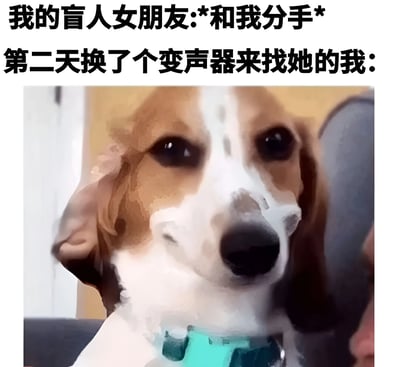 图片上方有两行黑色加粗文字：“我的盲人女朋友:*和我分手* 第二天换了个变声器来找她的我:”，下方是一张狗狗的特写照片。狗狗毛色为棕白相间，戴着蓝色项圈，眼神平静地直视镜头，表情略带无辜。图片通过文字构建了一个幽默场景：男生在被盲人女友分手后，试图用变声器伪装身份挽回，而狗狗的淡定表情与荒诞剧情形成反差萌，产生搞笑效果。