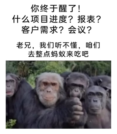 这是一张用来吐槽职场压力的搞笑梗图，上方文字先模拟职场人刚“清醒”就被项目进度、报表、客户需求、会议等工作内容轰炸的场景，随后以猩猩群体的视角回应，表示听不懂这些工作相关的内容，提议去吃蚂蚁，用回归原始、脱离职场的反差感，来表达当代职场人想要逃离工作压力、摆脱职场焦虑的心情。图片下方是一群聚集在一起的猩猩，中间的白眉猩猩表情戏谑，伸手向前，整体画面和文字结合，用幽默的方式消解职场的疲惫感。