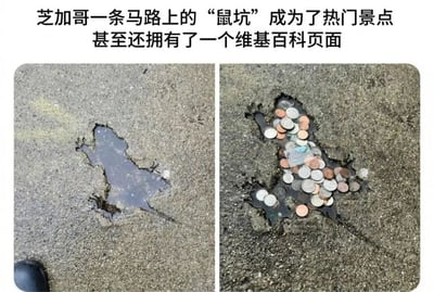 图片为左右对比图，左侧显示芝加哥一条马路上的坑洞，形状类似老鼠，坑内有少量积水；右侧为同一坑洞，内部被大量硬币填满。上方文字说明该“鼠坑”已成为热门景点，甚至拥有维基百科页面。