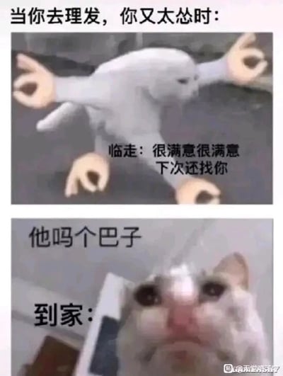 这是一张上下对比的多图拼接梗图，用来调侃社恐人群理发时的尴尬心态。上方图片是一个被P上人手的白色动物，配文“当你去理发，你又太怂时：临走：很满意很满意 下次还找你”，展现出理发结束时，即使对发型不满意，也因为胆小不敢表达，只能假意迎合理发师的敷衍状态；下方图片是一只眼眶泛红、神情委屈又愤怒的猫咪，配文“他吗个巴子 到家：”，表现出回到家后，终于不用压抑情绪，真实流露出对发型的不满和后悔的心情。两张图的强烈反差，精准戳中了很多人在理发时不敢当场提意见，事后懊恼的普遍经历，引发共鸣。