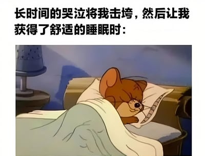 图片上方配有文字“长时间的哭泣将我击垮，然后让我获得了舒适的睡眠时：”，下方是动画《猫和老鼠》中的角色Jerry躺在床上睡觉的场景。Jerry蜷缩在被窝里，双眼紧闭，表情安详，头枕在白色枕头上，床边有一个带有花纹的台灯，整体画面营造出一种哭泣后疲惫入睡的舒适感。