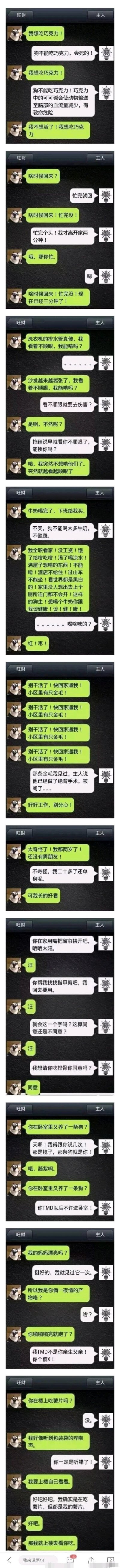 这是一组以微信聊天界面为载体的拟人化趣味内容，模拟宠物狗“旺财”和主人的日常对话，共包含9组独立的互动场景：1. 旺财执着想吃巧克力，被主人科普危害后耍脾气；2. 主人刚离家两分钟，旺财就频繁催促回家，三分钟后再次追问；3. 旺财想啃家里的洗衣机排水管和沙发，被主人用“拖鞋想揍你”怼回后立刻改口；4. 旺财要求主人买牛奶，抱怨自己“全职看家”的辛苦，成功让主人妥协买红枣味牛奶；5. 旺财多次催促主人回家遛弯见小区的金毛，得知金毛做了绝育后立刻让主人好好工作；6. 旺财吐槽自己两岁还没男朋友，还炫耀自己长得好看；7. 主人让旺财开窗晒太阳、找指甲剪，旺财只回复“汪”，听到主人要请吃排骨立刻回复“同意”；8. 旺财把自己的倒影当成主人新养的狗，多次追问被主人骂后仍不改；9. 旺财怀疑主人在楼上吃薯片，主人承认后旺财要上楼一起吃。内容通过拟人化的方式，生动展现了狗狗粘人、贪吃、调皮、单纯的特点，对话充满笑点，还原了养宠人与宠物之间的趣味日常。