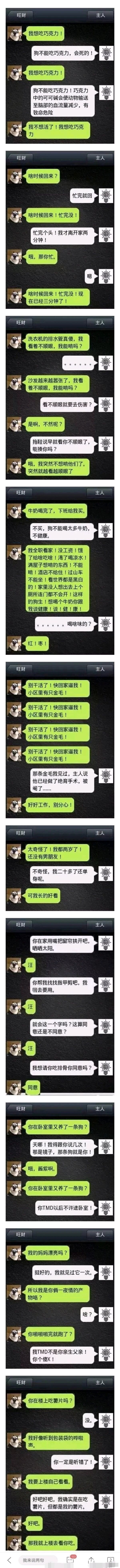 宠物狗