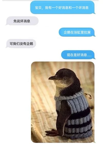 这是一张由聊天对话截图和萌宠图片组成的竖屏手机格式趣味内容。对话呈现了两位聊天者的互动：消息发送者告知对方有一个好消息和一个坏消息，对方要求先听坏消息，发送者称“企鹅在浴缸里拉屎”，接收者疑惑表示“可我们没有企鹅”，随后发送者引出好消息，并附上了一张穿着蓝黑条纹毛衣的企鹅图片，潜台词是“好消息是我们现在拥有了这只可爱的企鹅”。内容通过先抛出负面的坏消息，再用萌态十足的企鹅图片制造反转笑点，既利用对话的逻辑反差营造幽默氛围，又靠可爱的企鹅图片增添治愈感，整体风格轻松搞笑，充满趣味性。