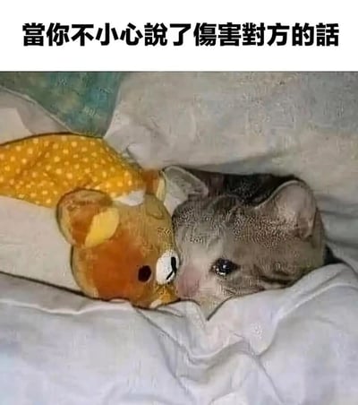 这是一张趣味表情包，顶部配有文字“当你不小心说了伤害对方的话”，画面主体是一只躲在被子里的灰猫，它眼神湿漉漉的，神态委屈又愧疚，旁边挨着轻松熊玩偶，整体画面生动传递出人们在不小心说出伤人话语后，内心充满自责、不安，渴望被原谅的情绪，非常贴合这类场景下的心理状态，适合在社交沟通中表达自己的愧疚心情。