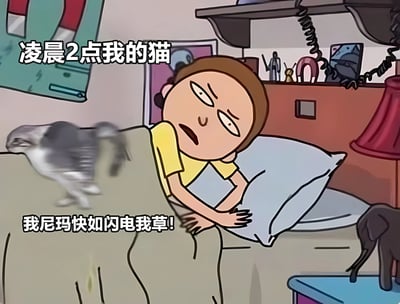 卡通风格的单幅漫画，描绘了凌晨2点的卧室场景：一名穿着黄色上衣的铲屎官疲惫地躺在床上，眉头紧锁，双眼半睁，身体蜷缩着似乎被打扰。床边有两只猫，其中一只灰白相间的猫正快速奔跑，配文“我尼玛快如闪电我草!”，上方文字“凌晨2点我的猫”点明主题，生动展现了猫咪在深夜精力旺盛、打扰主人休息的搞笑日常。