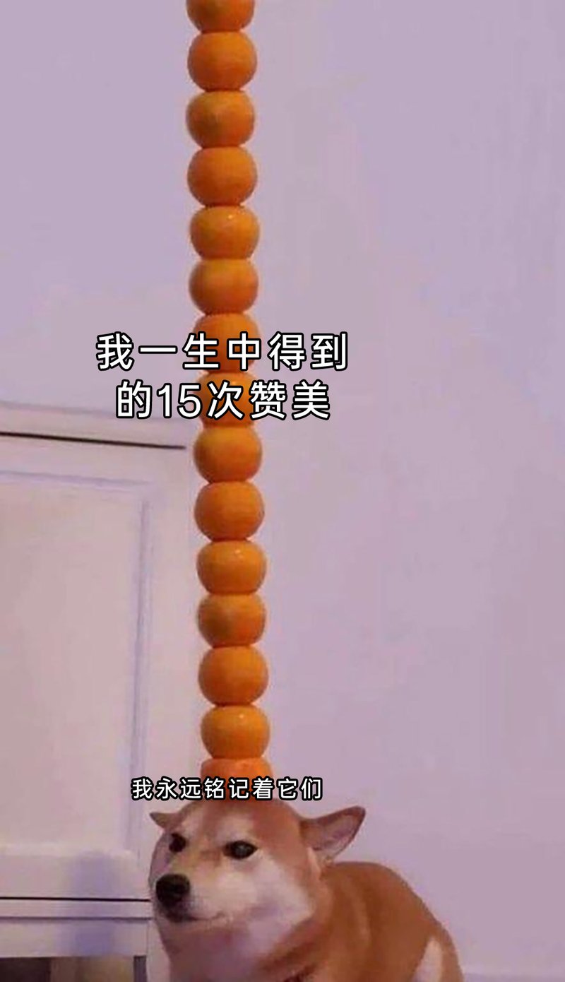 网络经典梗图