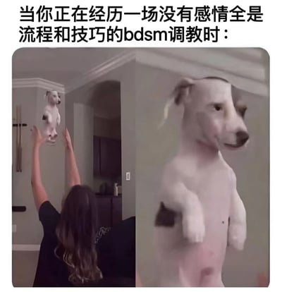 图片上方配有文字“当你正在经历一场没有感情全是流程和技巧的bdsm调教时：”，下方分为左右两部分。左侧图中一个人背对镜头，双手高举，似乎在操控一个狗玩偶；右侧是该狗玩偶的特写，表情呆滞，身体僵硬，像提线木偶一样被摆弄。通过将流程化的BDSM调教比作操控没有灵魂的木偶狗，用幽默方式吐槽缺乏情感投入的机械性行为。
