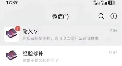 这是一张游戏玩家创作的趣味梗图，模拟了微信的聊天列表界面，顶部显示有1条未读消息。两个聊天对象的头像均为沙盒游戏《我的世界》中的附魔书像素图标：第一个好友备注为「耐久V」，于17:36发来消息「你现在把她删掉，我可以当做什么都没发生」，附带未读小红点；第二个好友备注为「经验修补」，于17:37发来消息「她是不是又和你吵了」。该梗利用了《我的世界》原版设定中「耐久」和「经验修补」属于无法同时附着在同一件装备上的冲突附魔的特性，将两个附魔拟人化为互相吃醋的交往对象，制造出诙谐的情感纠纷既视感，贴合游戏玩家的共同认知，笑点巧妙。