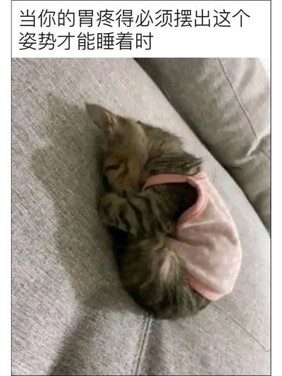 这是一张能引发生活共鸣的搞笑梗图，图片上方配有文字“当你的胃疼得必须摆出这个姿势才能睡着时”，图中主体是一只穿着粉色小衣服的狸花猫，它将身体紧紧蜷缩成一团，安静地趴在灰色沙发上睡觉。猫咪蜷缩的姿势和人类在胃疼难忍时，为缓解腹部不适只能蜷缩着入睡的状态高度契合，用软萌的宠物形象调侃胃疼时的难受处境，生动又有趣，极易让有过类似身体不适经历的人产生强烈共鸣。
