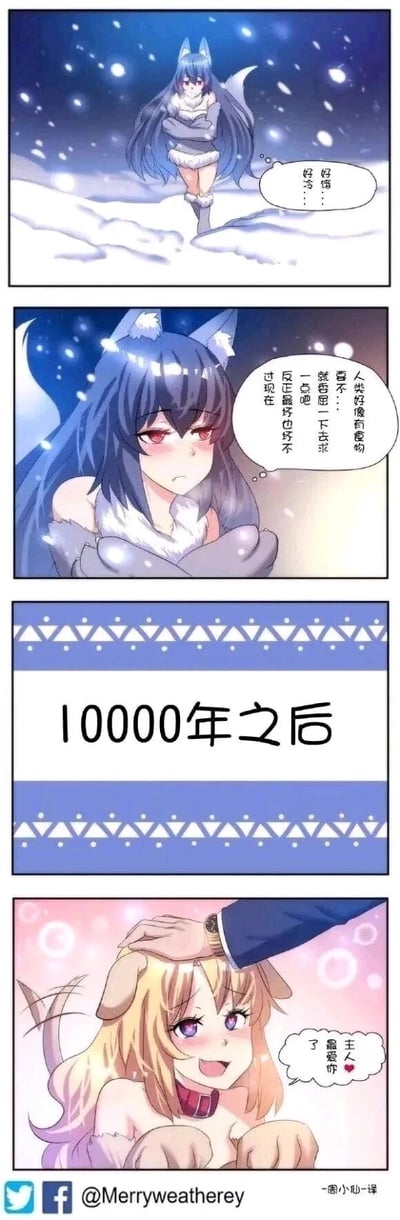 这是一则带有反差梗的连环卡通漫画：第一格中，蓝发狼耳少女身处飘雪的荒原，抱着胳膊，满脸难受地念叨自己又冷又饿；第二格她内心纠结，想着人类拥有食物，决定放下身段去求助；第三格用“10000年之后”的文字制造巨大的时间跨度；第四格则展现了一万年后的场景，少女变成了金发狗耳的模样，戴着项圈，被主人温柔摸头，一脸幸福娇羞地表达对主人的喜爱。漫画用漫长的时间跨度，调侃了从“求助人类”到彻底被驯化的戏剧性转变，充满搞笑反差感。