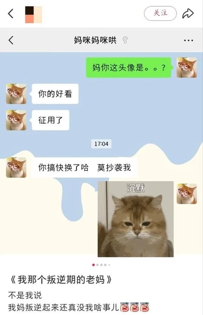 这是一张社交平台发布的微信聊天记录截图，聊天双方是网友和其备注为“妈咪妈咪哄”的母亲，二人使用了完全相同的戴红框眼镜的橘猫作为头像。网友发现后询问母亲头像一事，母亲先表示网友的头像好看要征用，随后反倒要求网友赶紧换掉头像，不要抄袭自己。网友见状发送了一张配文“沉默”的表情不爽的橘猫表情包回应。最后发布者配文《我那个叛逆期的老妈》，调侃自己的母亲叛逆起来程度远超自己，整体内容充满了轻松诙谐的家庭互动趣味。