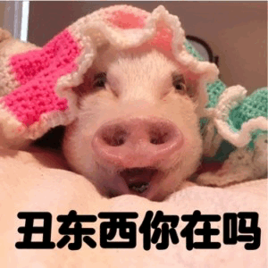 戴花帽子的小猪表情包：丑东西你在吗