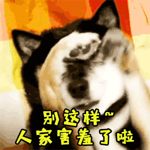 害羞狗狗捂脸动图：别这样~人家害羞了啦