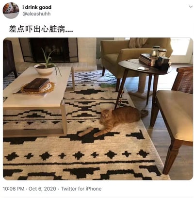 推特用户@aleashuhh（显示名称'i drink good'）发布的家庭场景照片，配文'差点吓出心脏病....'。画面中是温馨的客厅，米色沙发、木质咖啡桌与黑白几何图案地毯构成舒适环境，一只橘猫正悠闲趴在地毯上，身旁放着一个类似骨头形状的玩具，推测用户可能因光线或角度误将玩具认作其他物体而受到惊吓，展现了宠物日常中的搞笑瞬间。