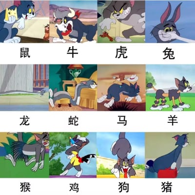 一张由《猫和老鼠》动画截图拼接而成的十二生肖图鉴，共3行4列12个格子。每个格子中汤姆猫都通过不同的姿势、道具或表情模仿对应生肖动物的特征，下方配有中文生肖名称：鼠、牛、虎、兔、龙、蛇、马、羊、猴、鸡、狗、猪。例如鼠年汤姆手持奶酪对应杰瑞，牛年汤姆戴牛角，虎年呈现凶猛姿态，兔年则长出长耳朵等，整体风格幽默诙谐。