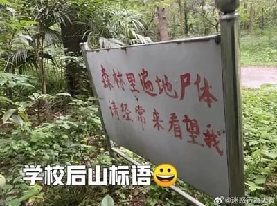 这是一张原始拍摄的户外照片，场景为植被茂密的学校后山，画面主体是一块立在林间的标牌，标牌上用红色字体写着“森林里遍地尸体 请经常来看望我”，这句标语打破了常规山林标语的风格，略带惊悚的表述搭配学校后山的场景，形成强烈反差感，显得十分搞笑。图片下方还加注了“学校后山标语”文字和笑脸表情，进一步强化了诙谐的氛围。图片右下角带有微博账号“@迷惑行為大賞”的水印，表明了图片的分享来源。