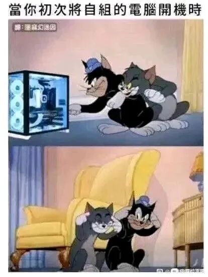黑猫布奇