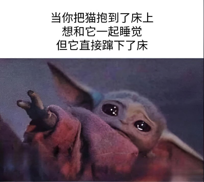 曼达洛人
