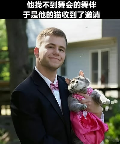 图片上方有白色文字“他找不到舞会的舞伴 于是他的猫收到了邀请”，下方是一名穿着黑色西装、系着粉色领结的男子，他面带微笑，双手抱着一只穿着粉色连衣裙的灰色猫咪。背景是户外的树木和房屋，整体场景温馨又带点幽默，展现了男子因找不到舞伴而让猫咪“代替”的可爱画面。