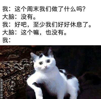 这是一张图文结合的搞笑表情包，上方呈现了“我”与“大脑”的对话：“我”询问这个周末完成了什么事，大脑给出否定回答；“我”试图自我安慰至少得到了充分休息，大脑却也给出否定答案。下方搭配了一只眼睛圆睁、表情震惊又茫然的奶牛猫，猫咪瘫坐的姿态和呆滞的神情，完美诠释了当发现周末既没完成任何事也没得到休息时，那种崩溃、不知所措的精神状态，精准戳中当代人在周末虚度时光却又未休息好的共鸣点，充满了日常吐槽的趣味。