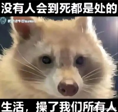 这是一张图文结合的静态网络表情包，主体是一只毛发蓬松的浣熊，它眼神黯淡无光，神情低落疲惫，直视镜头，传递出强烈的无奈、沮丧情绪。图片上下方配有醒目的白色粗体文字，上方为“没有人会到死都是处的”，下方为“生活，操了我们所有人”，用粗俗却直白的语言，以一种反差感的自嘲方式，表达了当代人面对生活压力、困境时的疲惫与不满，将动物的低落神态与人类的负面情绪共鸣点结合，精准戳中大众在生活重压下的心境，常被用于网络社交中宣泄负面情绪、吐槽生活的不如意。
